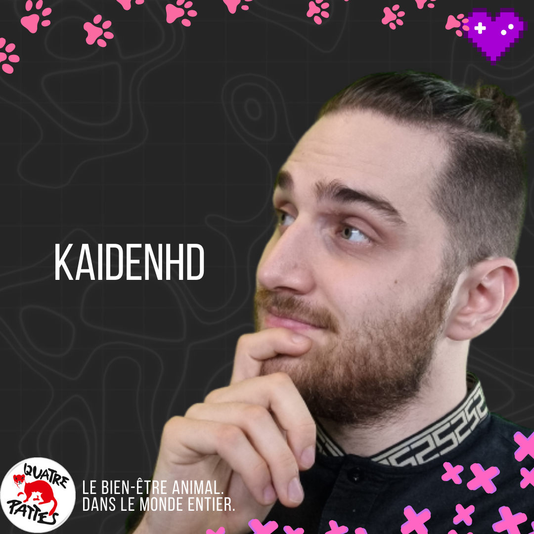KaidenHD